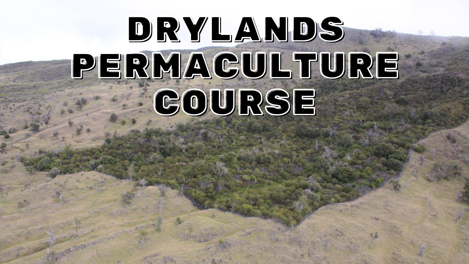 Photo of drylands restored using permaculture
