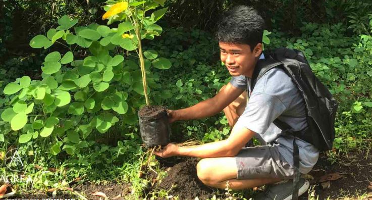 Picture of school child planting a tree
